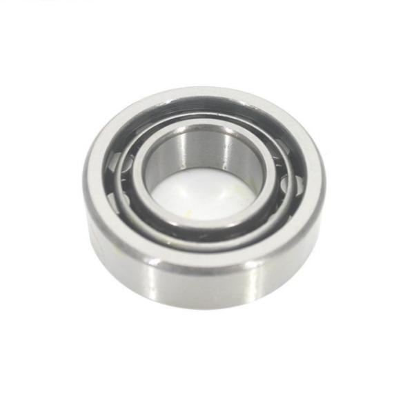 High Speed Cylindrical Roller Bearings N205 N220 N200 Series Gcr15 N206 Bearing