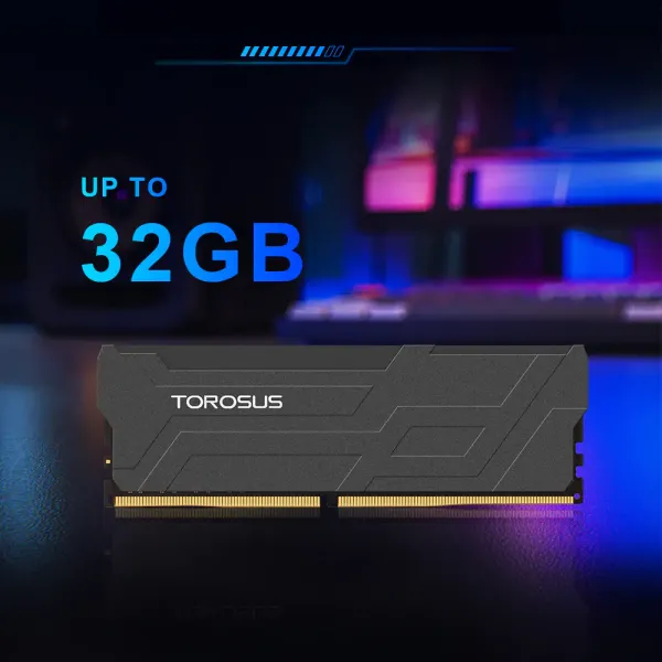 TOROSUS H42 DDR4 Memory Heat Sink Series