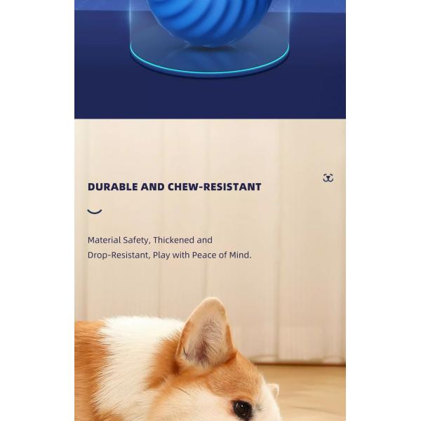 Material de silicona ABS para mascotas Auto-movimiento de entrenamiento de perros Juguete de gatito para entretenimiento en interiores