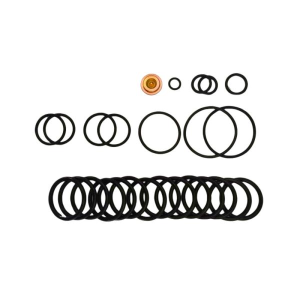 Штепсельная вилка моста наборов исправления завершения #10 BP3.SEC месторождения