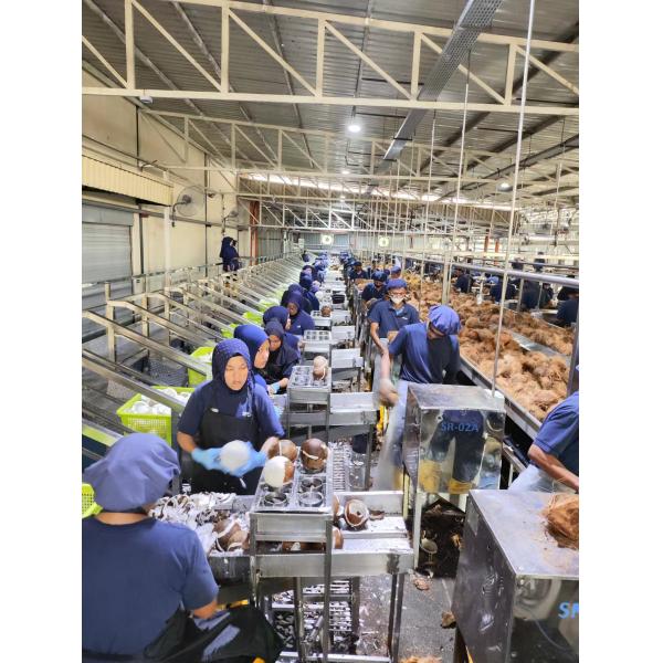 Industrial Coconut Water Processing Machine /Coconut Water Production Line /Production Line for Young Coconut
