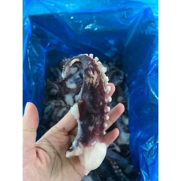 Щупальца NW 30 60g кальмара ранга качественные горячие продавая замороженные гигантского