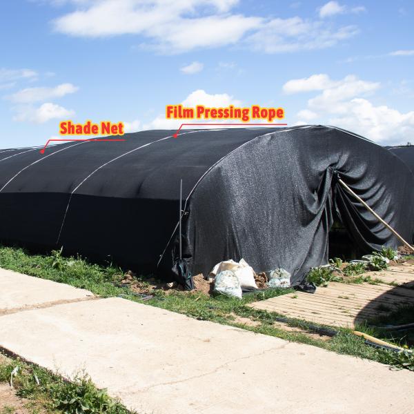 Plastic Film and Shade Net Mushroom Farm Greenhouses Hot Galvanized Steel Structure