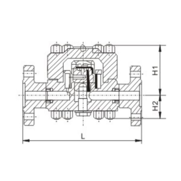 Anti Corrosion Y Type Strainer Valve Durable Leakproof Stainless Steel
