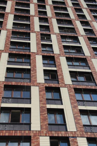 Hot sale facade Clinker clay brick 260x100x25mm