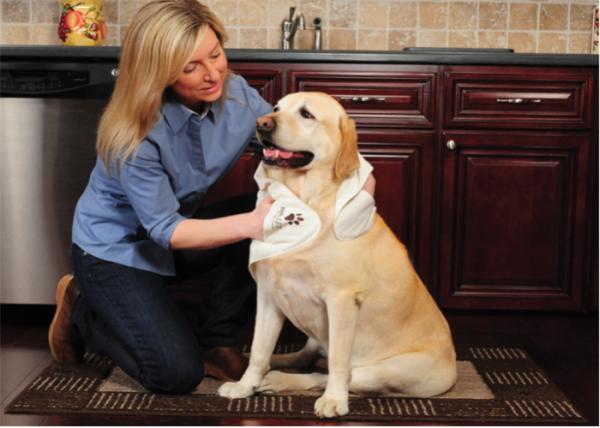 Personalised Microfibre Dog Towel Set , Embroidered Cat Bathroom Towels Endurable