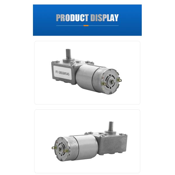 FT-58SGM555 12V 24V High Torque Electric Worm Gear Motor Wall Mounted