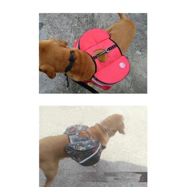 Качественный Оксфордский обучение на открытом воздухе