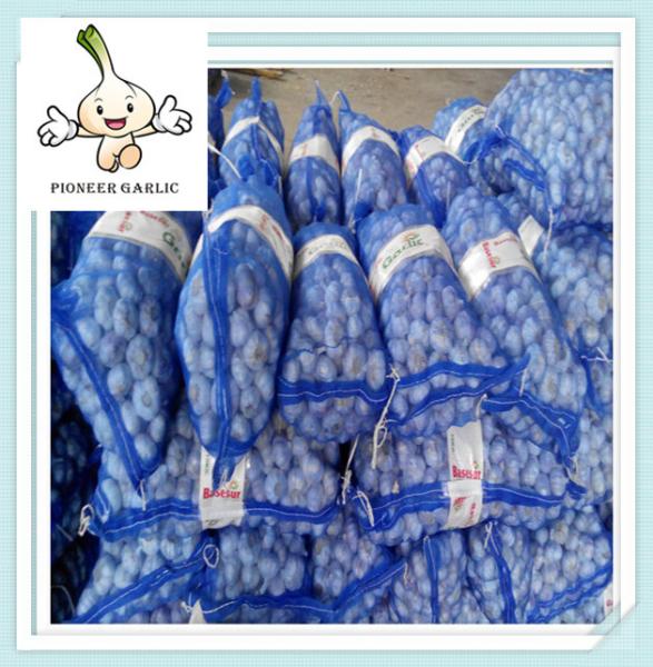 Wholesale Pure White Garlic In 200g/ 500g/ Mesh Bag 3p/ 4p/ 5p /