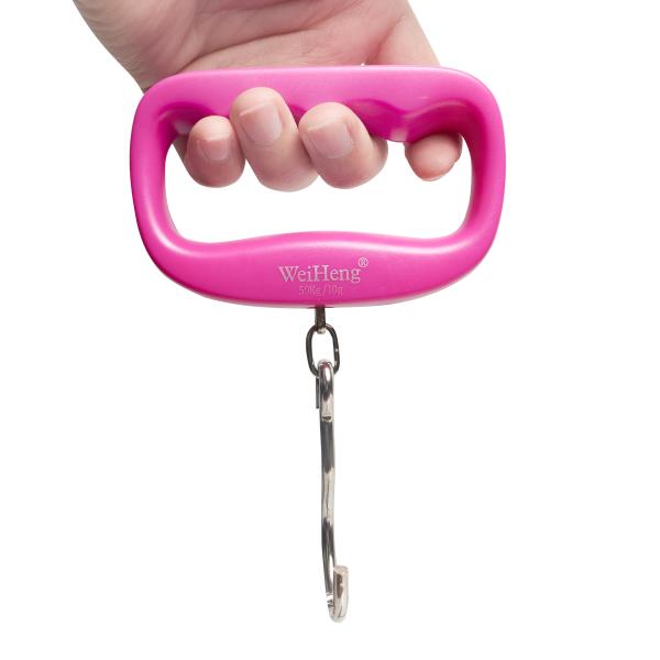 Lightweight Battery Powered 50kg/10g Capacity Big Hook Digital Electronic Luggage Scale
