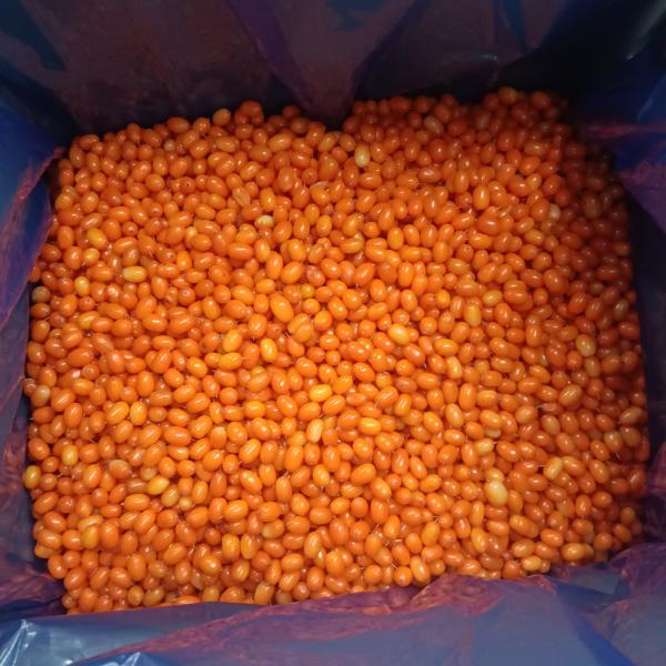 Top of Frozen Fruit IQF Sea buckthorn 100% Natural No GMO BRC/Halal/Kosher Certified 24 Months Shelf Life 10kg per Case