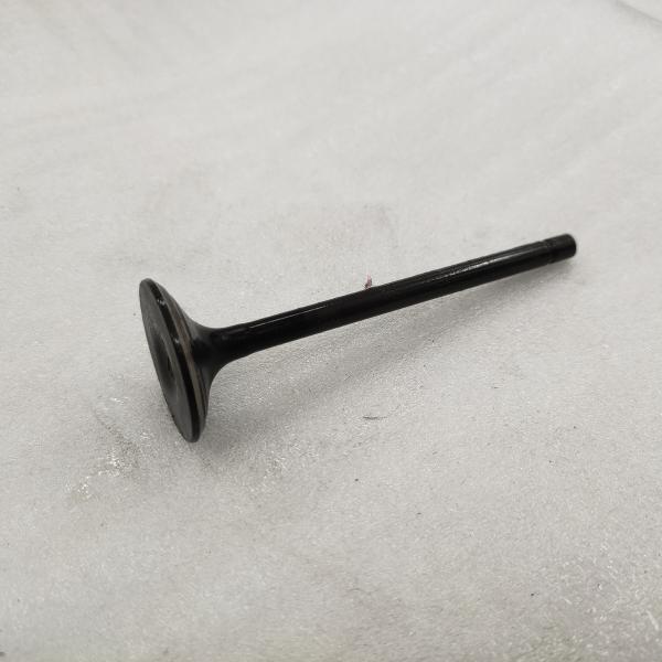 DAYANG moto à trois roues tricycle moteur en fer noir soupape de forgeage avec des matériaux