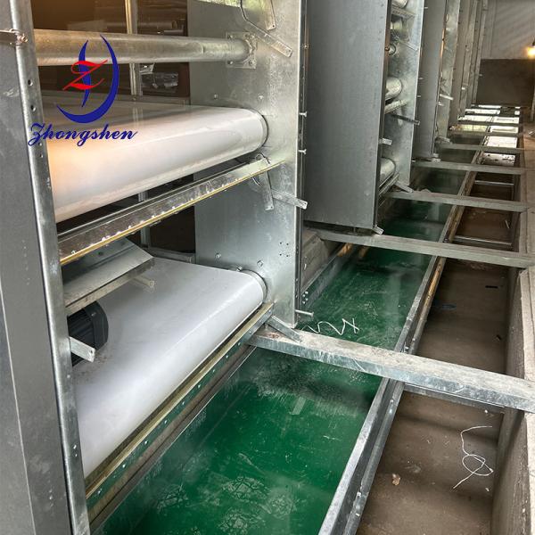 Zhongshen Brand Manure Conveyor Belts - Premium Quality, Proven Performance