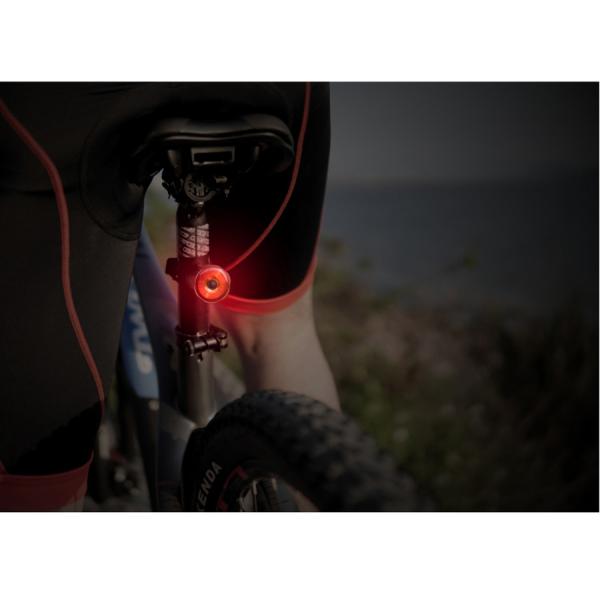 ROHS Bike And Cycle Accessories Tail Light USB Charging Seatpost Mounting