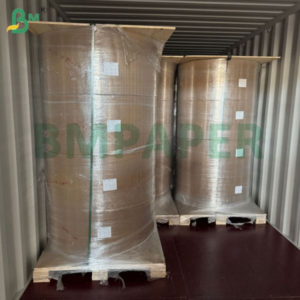95 x 130cm 250gsm 270gsm Coating One Side Triplex Board For High-end Package Box