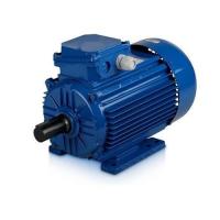 Moteur économiseur d'énergie électrique à faible teneur en carbone des émissions PMSM IP68 IP65 pour des pompes à eau