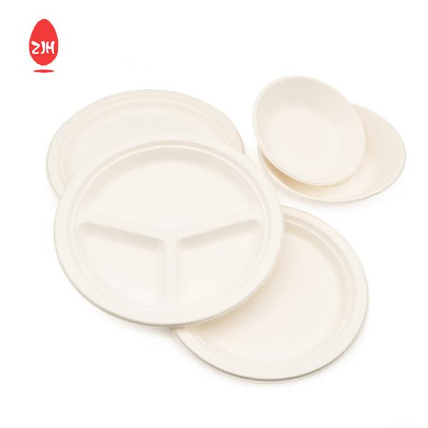 245mm Disposable Food Packaging Containers FSC Environmental Protection Tableware