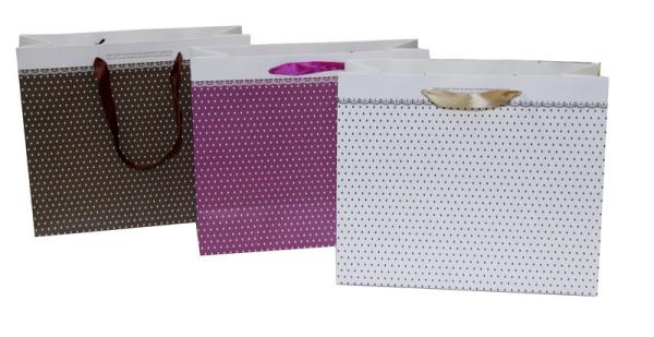 Small Points Classic Gift Paper Bag With Matt Coat For Gift Packaging
