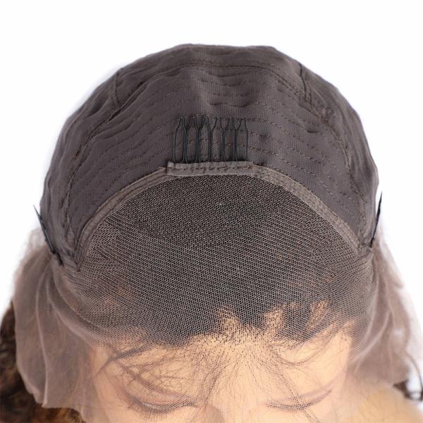 22inch Brazilian Hair P4/27 Transparent Lace Human Hair Wigs for Your Hair Needs