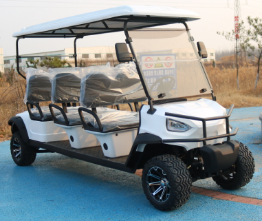 Электрическая тележка для гольфа Новый стиль 60V100Ah Свинцово-кислотная батарея Новый дизайн Конфигурация высокого класса