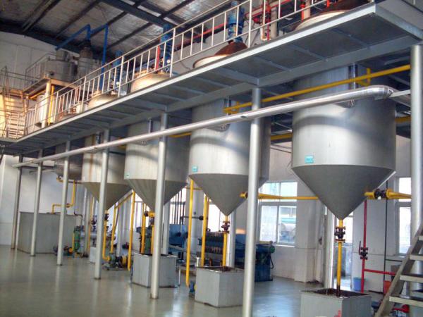 First-level Refinig Stainless steel 10TPD cooking oil refinery machine
