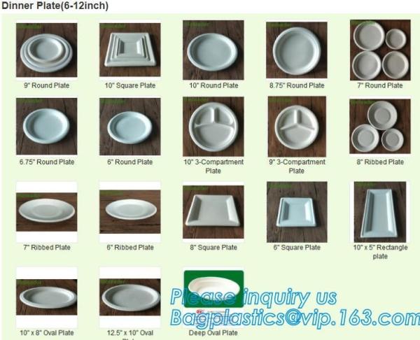 biodegradable corn starch fast food container,Biodegradable Box Corn Starch Food Container Manufactures bagease package