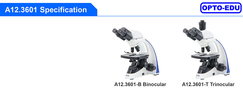 OPTO лаборатория бинокулярного микроскопа EDU A12.3601 Trinocular биологическая