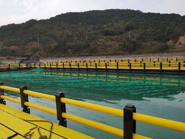Support payments in USD Nanfengwang Deep Sea Aquaculture Fish Farming Net Floating Square Abalone Leisure Fishing Cage