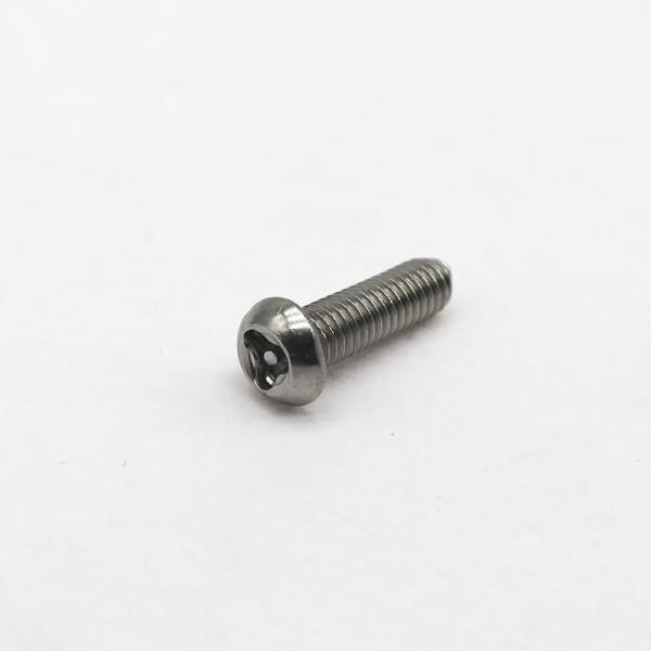 Industrial Custom Anti Theft Screw Stainless Steel Safety Fasteners
