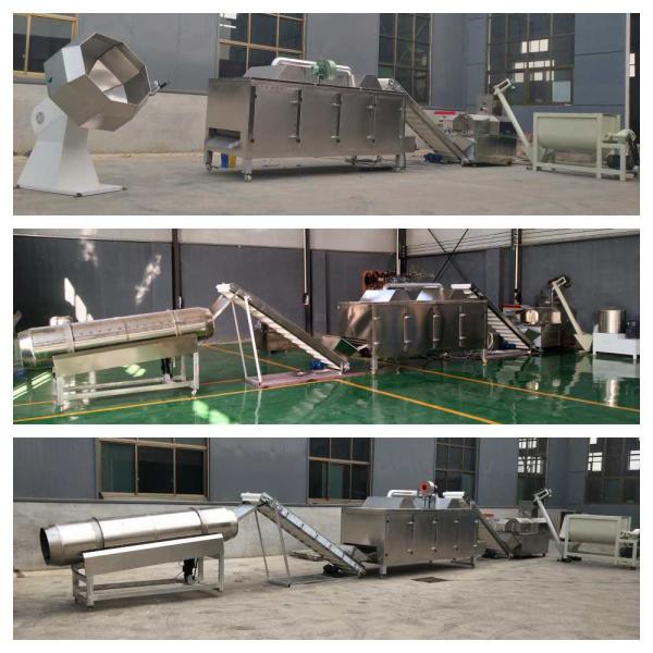 Тип производственная линия нержавеющей стали сухой корма для домашних животных штрангпресса 55kw питания рыб сухая