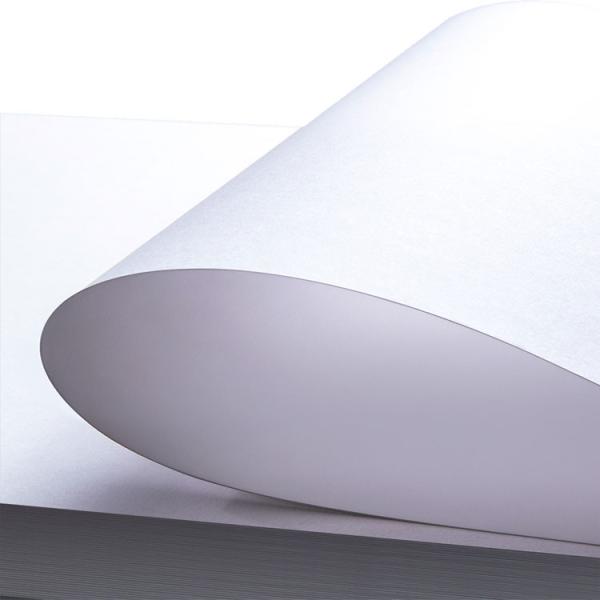 Preço de estoque FBB C1S revestido de papel de papelão de marfim