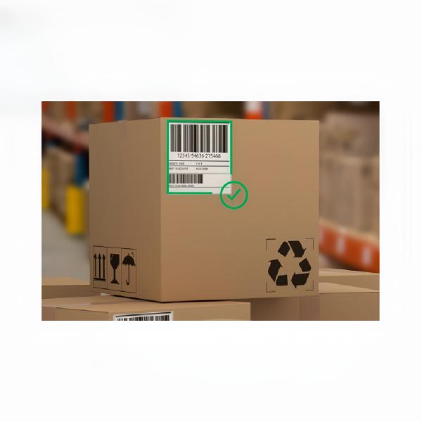 Automatic Piezo High Resolution Inkjet Printer Case Labeling System For Packaging Lines