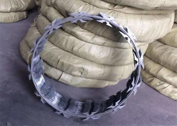 Hot Dipped Galvanized Cbt-65 Barbed Wire Concertina Coil With Loops Dia 500 Mm