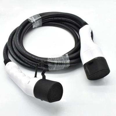 250V 32A Double Headed EV Charging Gun With 5m Copper PVC Cable