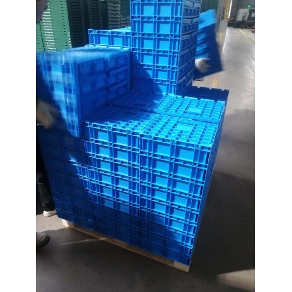 Складные пластиковые яичные ящики для перевозки в птицеводстве