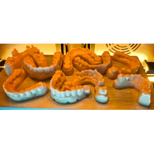 Model Resin Dental Intraoral Scan Customized Denture Base Educational Demonstration