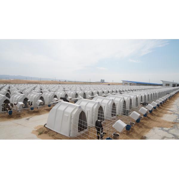 Десятки или сотни килограммов белых телят, обеспечивающих 10-20% поверхностной вентиляции.