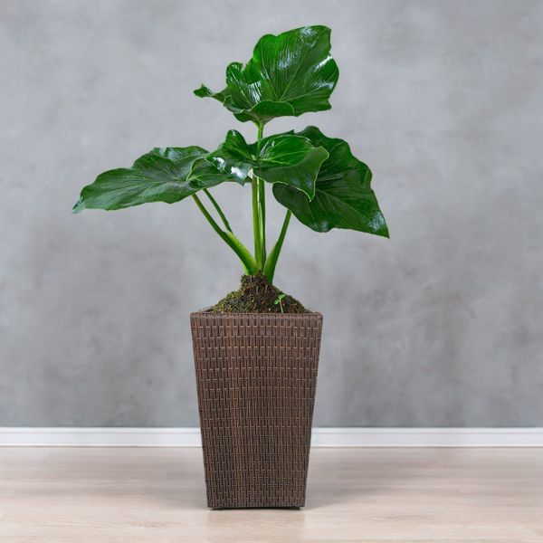 Factory Hot Sale Metal Frame PE Rattan Weather Resistance Indoor Outdoor Planter Stand Popular Flower Pot