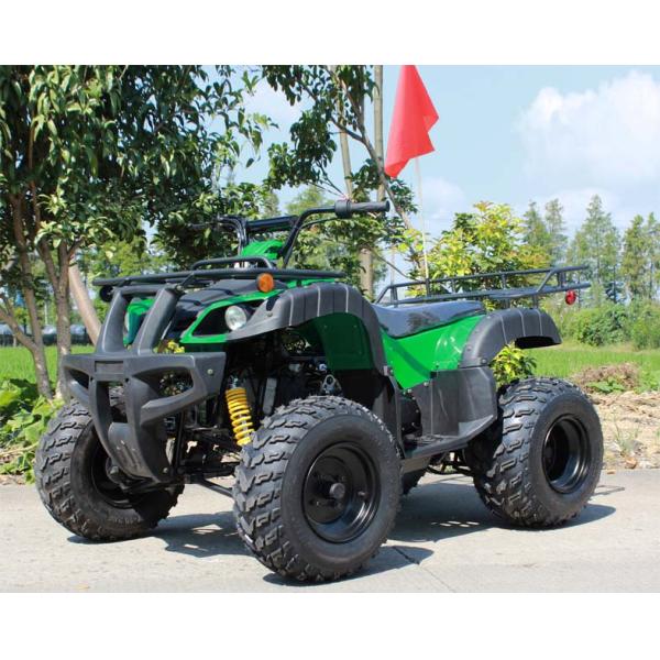 CVT Transmission Youth Racing Atv Air Cooled CDI Ignition