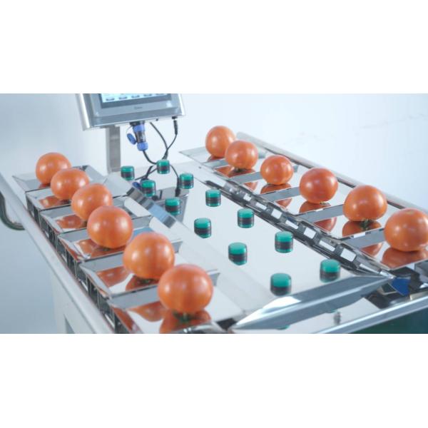 os vegetais da máquina de empacotamento do manual de 250g 500g 1000g frutificam pesando