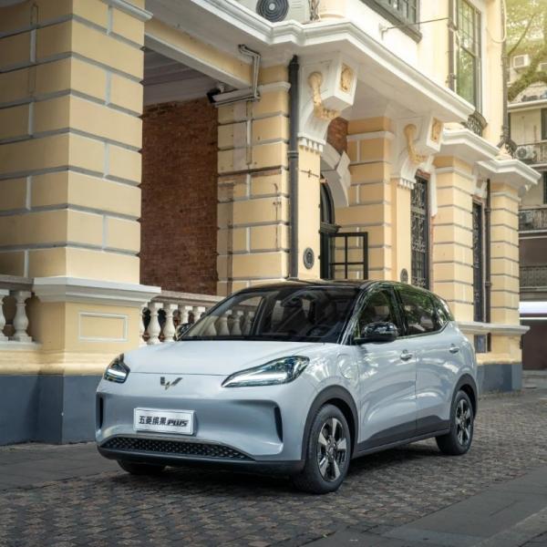Véhicule électrique Wuling Binguo EV 5 portes 4 sièges 2024 Nouveau véhicule électrique à énergie explosive rentable