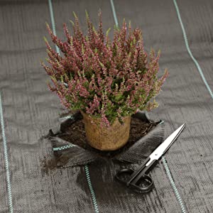 6 x 33 feet Sheet Woven Weed Control Fabric - Stabilized Black Heavy Duty 3 oz/yd² Landscape Ground Cover Membrane