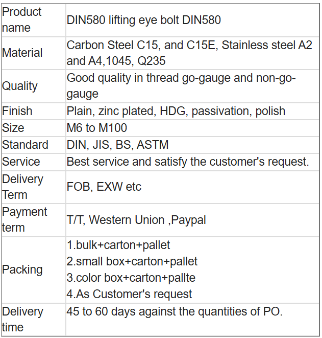 DIN580 lifting eye bolt