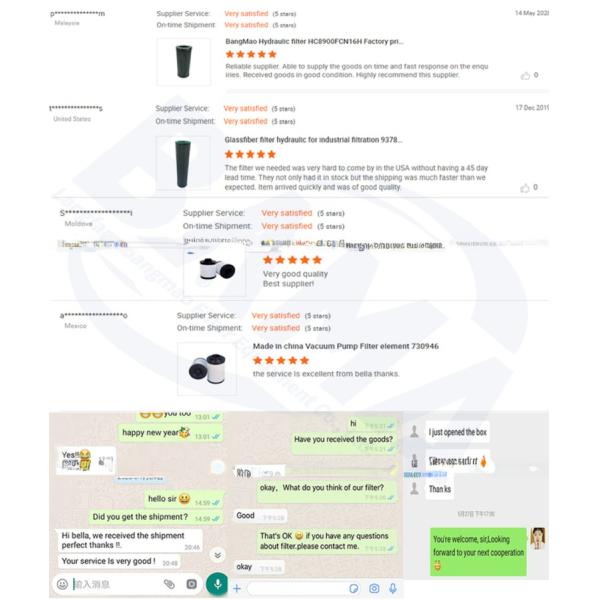 Компоненты стекловолоконного ядра Фильтр сжатого воздуха E1281XA для вашей промышленности