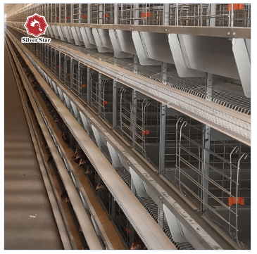 Клетка слоя цыпленка сельскохозяйственных продуктов птицы для бройлеров и цыпленоков