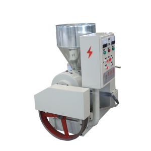 High Efficiency Coconut  Machine Commericial  Oil Press Machine Sunflower Oilpressing