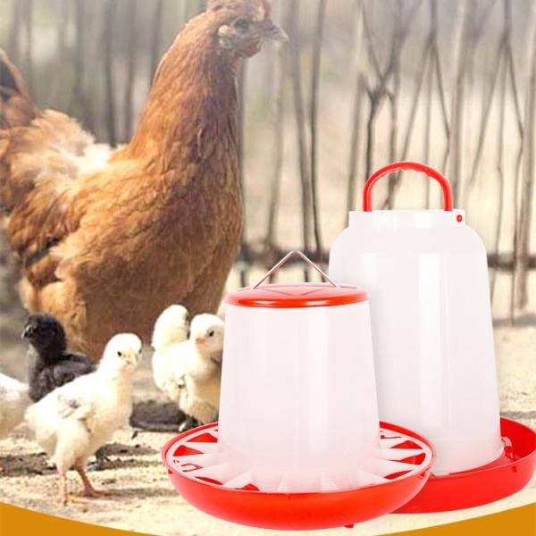 Broiler Animal Automatic 2kg Poultry Feeder Drinker For Husbandry Equipment