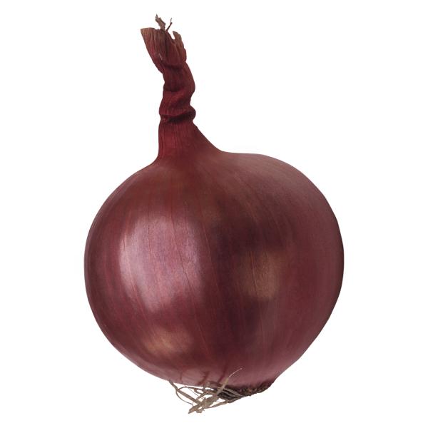 2023 new crop of brand fresh onions red and yellow white onion fresh vegetables in China Chinese onion fresh for sale