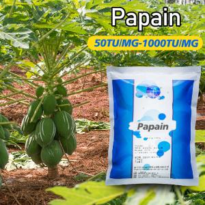 Organic Papaya Enzyme 50TU/MG-1000TU/M Powder Like Fully Soluble In Water