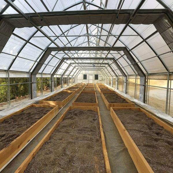 Heat Preservation Blackout Light Deprivation Greenhouse Single Span Automatic